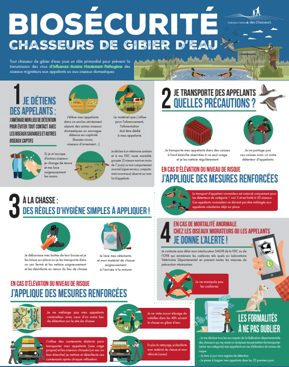 Affiche des gestes à effectuer par les chasseurs en cas de suspicion de cas de mortalité de grippe aviaire.