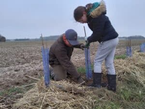 La nouvelle génération plante une haie